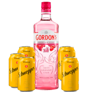 Gin Gordon´s Pink + 5 Schweppes Tônica